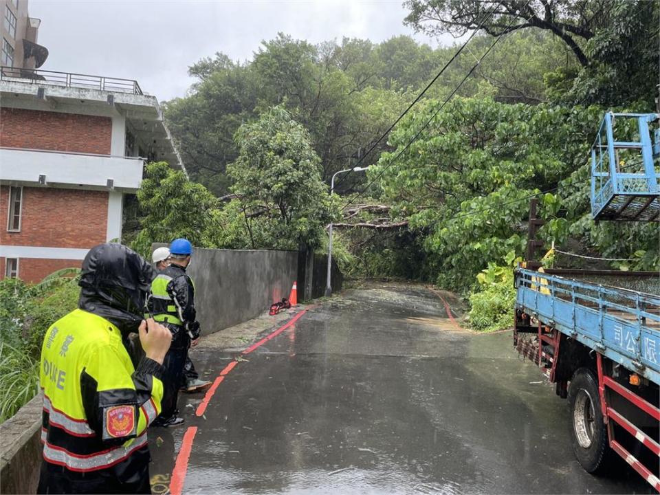 快新聞／烟花挾豪雨襲北台灣！ 北投路樹倒塌壓電線「1500戶停電」