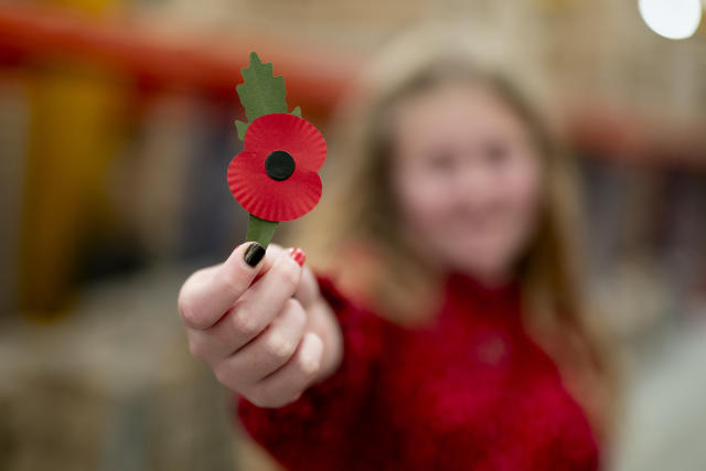 Remembrance Day: Where does the money you spend on Poppy Appeal actually go?