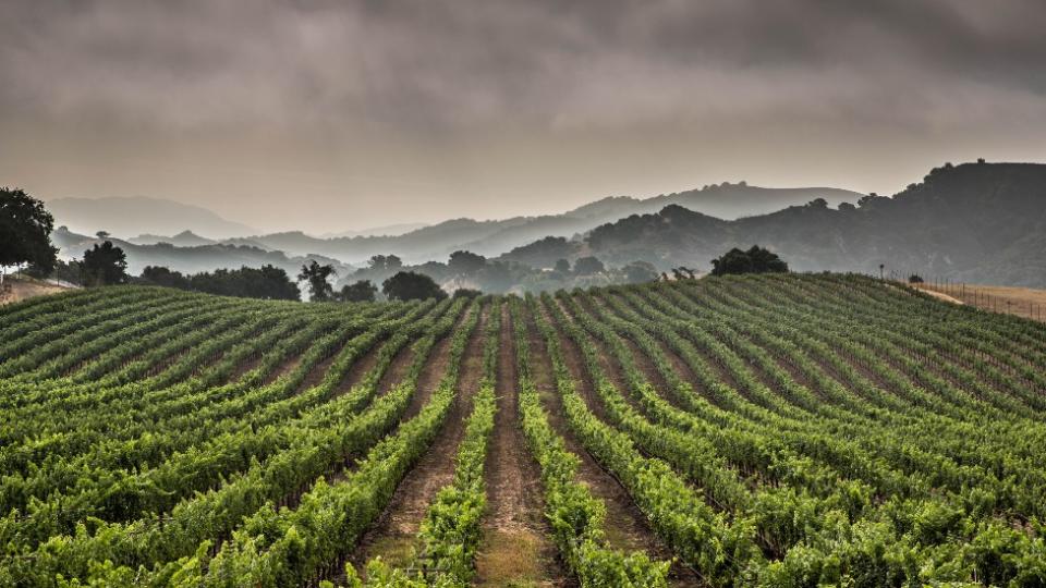 Cultivos en California