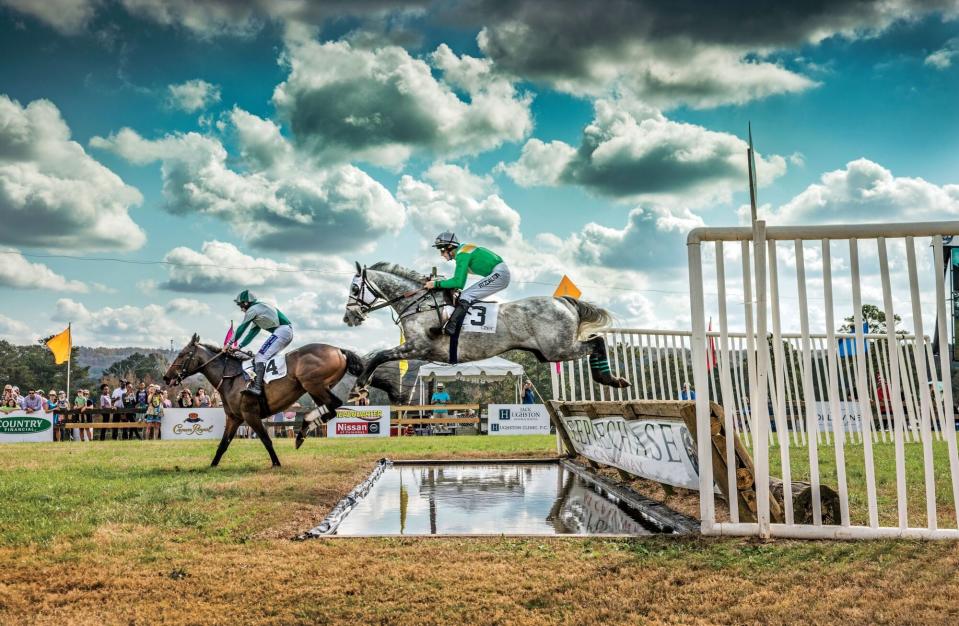 Steeplechase Hurdle