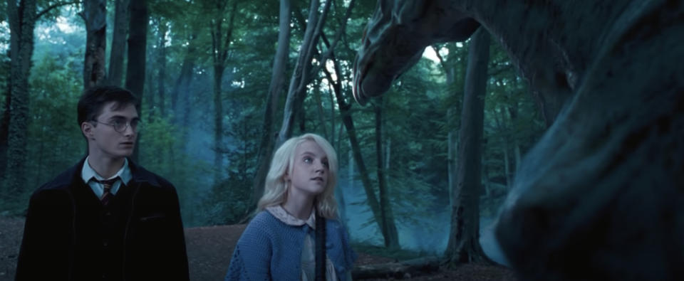 Harry and Luna look at a Thestral