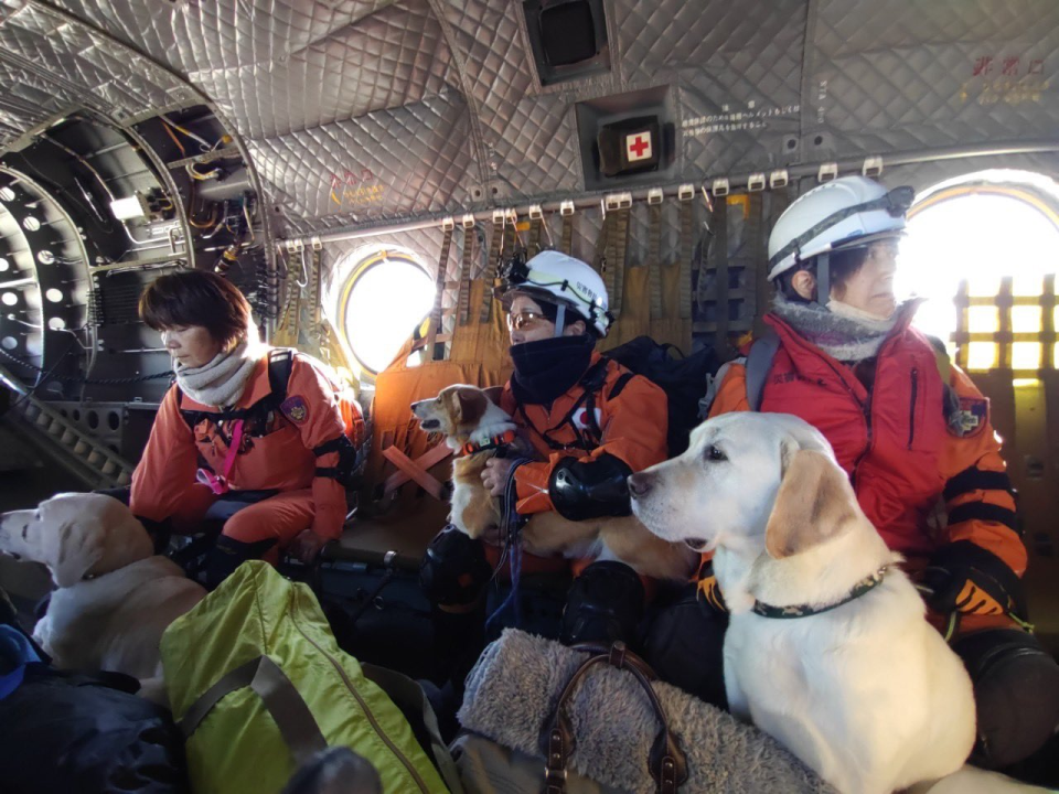 搜救犬持續在災區進行搜救。取自X@drdshizuoka