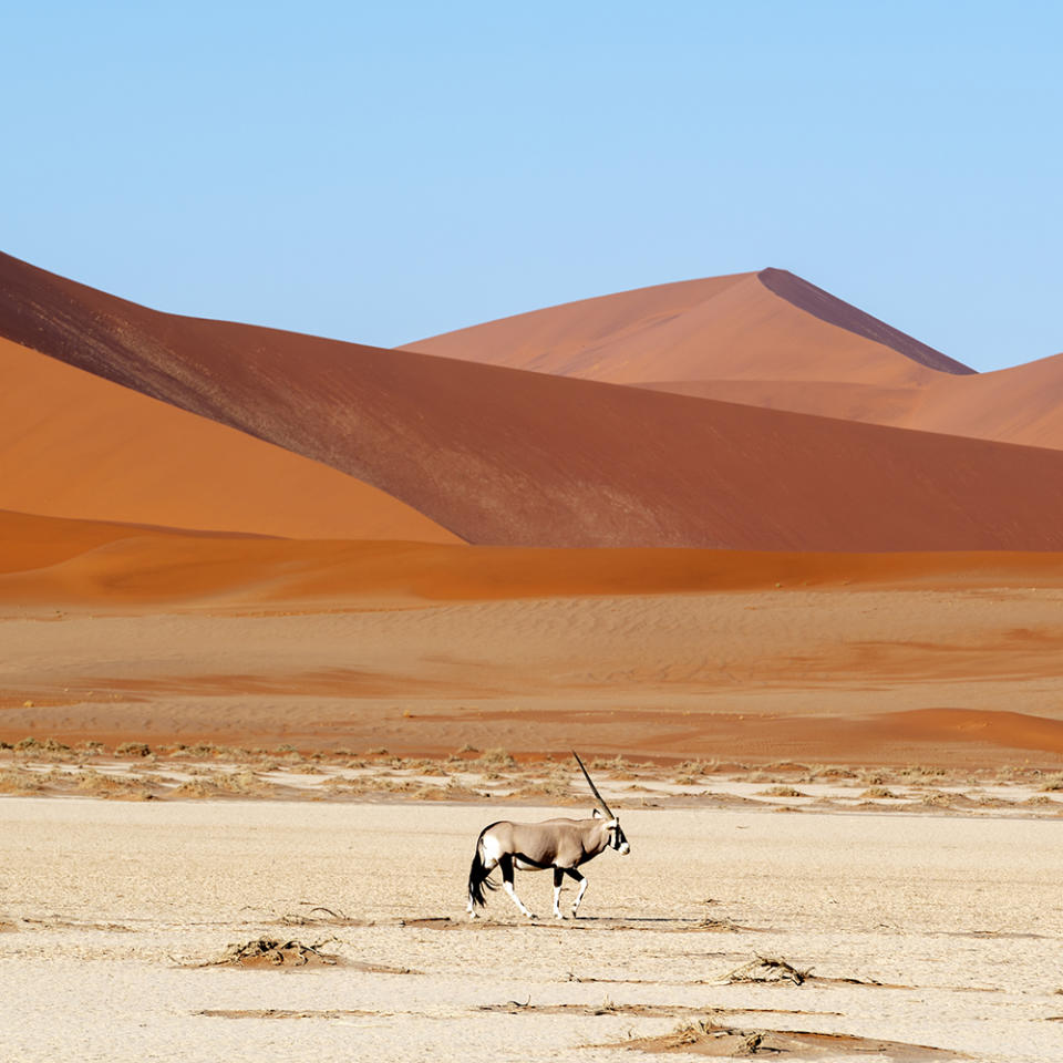 La Namibie, 4ème destination favorite des Français pour 2021