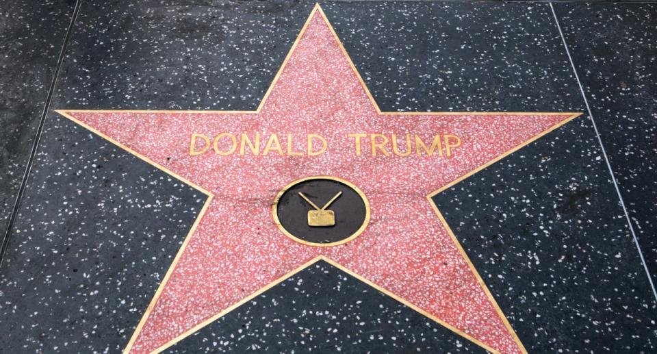 Donald Trumps Stern am Walk of Fame auf dem Hollywood Boulevard am 10. Dezember 2016 in Los Angeles. (Foto: AaronP/Bauer-Griffin/GC Images)