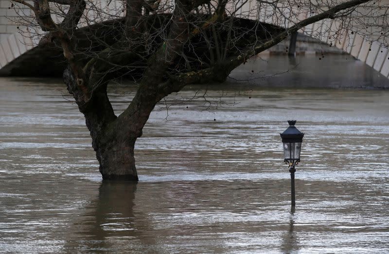 FILE PHOTO: A street lamp and a tree are seen on the flooded banks of the River Seine in Paris