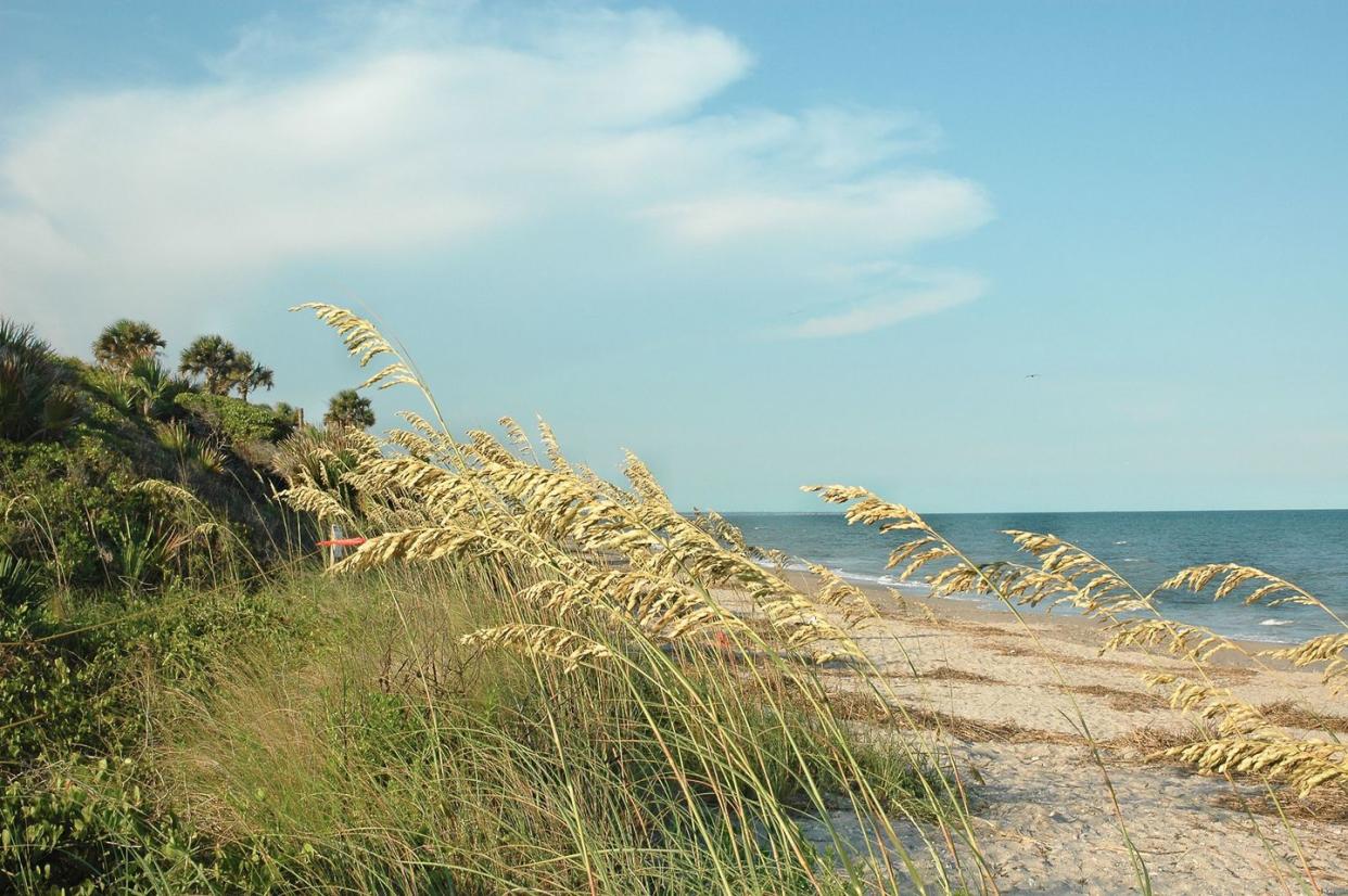 beach at edisto state park