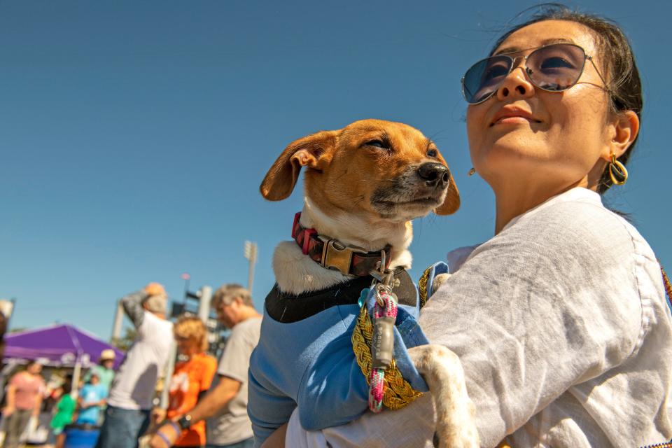 Dog lovers check out the festivities during Barktoberfest 2021 at Community Maritime Park Sunday, October 31, 2021. Barktoberfest 2021 included adoptable dogs, food, vendors, contests and more.