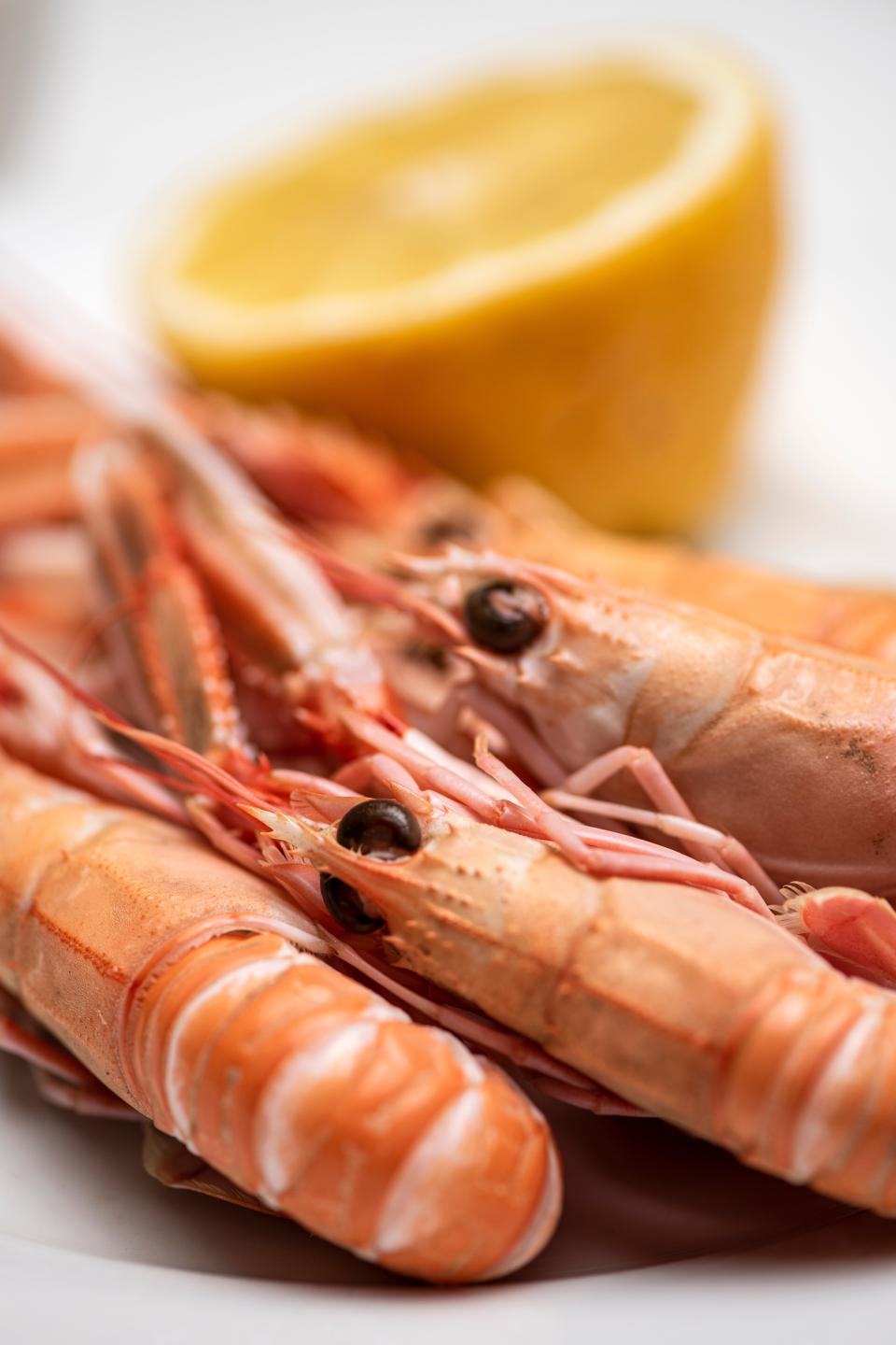 Beautifully fresh: a plate of langoustinesDaniel Hambury/Stella Pictures Ltd