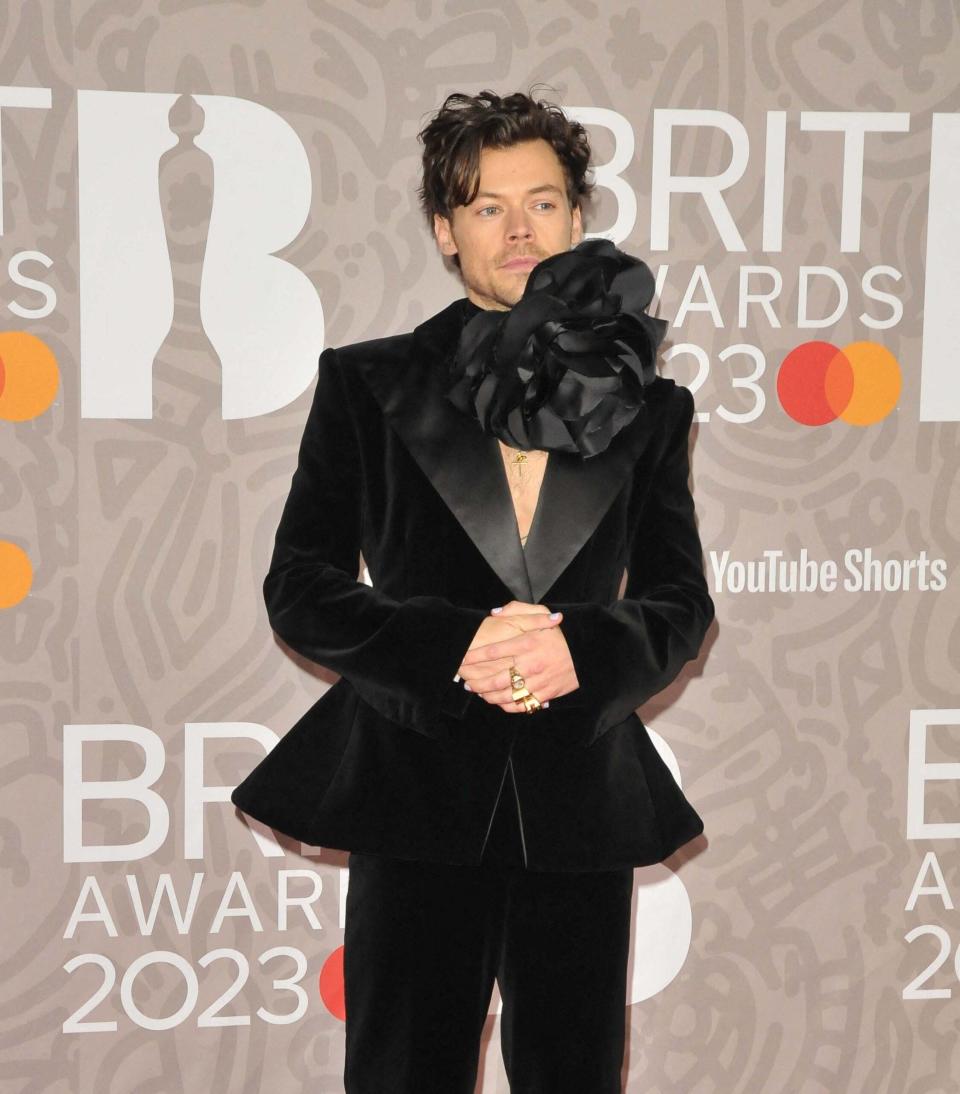 Harry Styles' Stalker Arrested After Expressing ‘Sexual Urges’ & 'Hand-Delivering Letters'