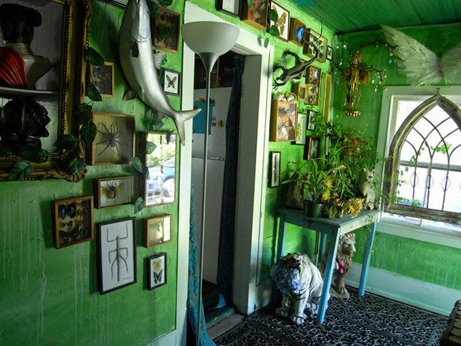 The Jungle Room where O'Sullivan keeps her collection of framed insects that she's collected from her travels.