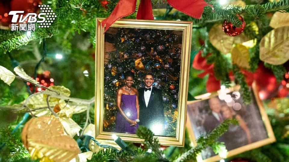 樹上掛滿歷任總統照片。（圖／達志影像美聯社）