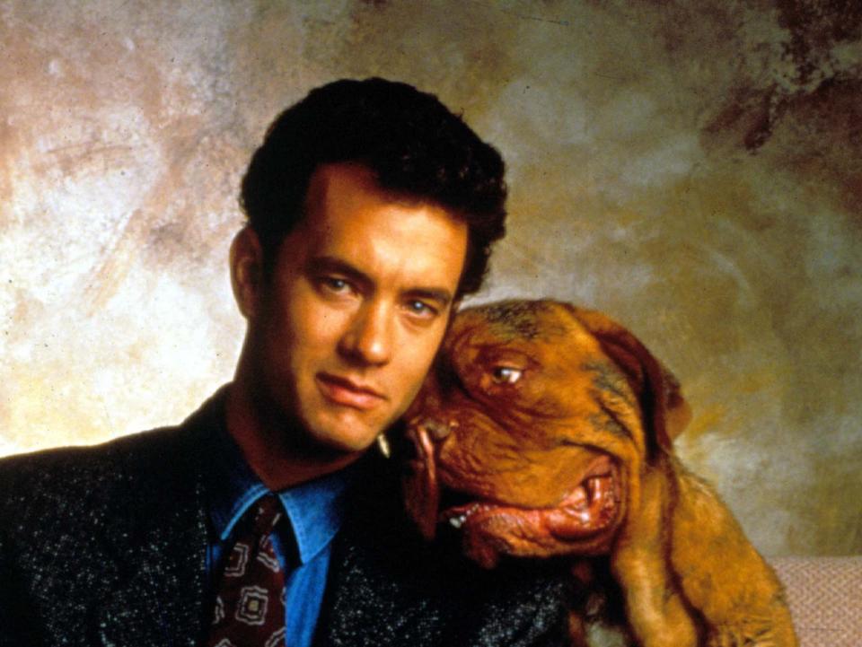 <p>‘Turner and Hooch’ is being made into a TV show</p>Rex Features