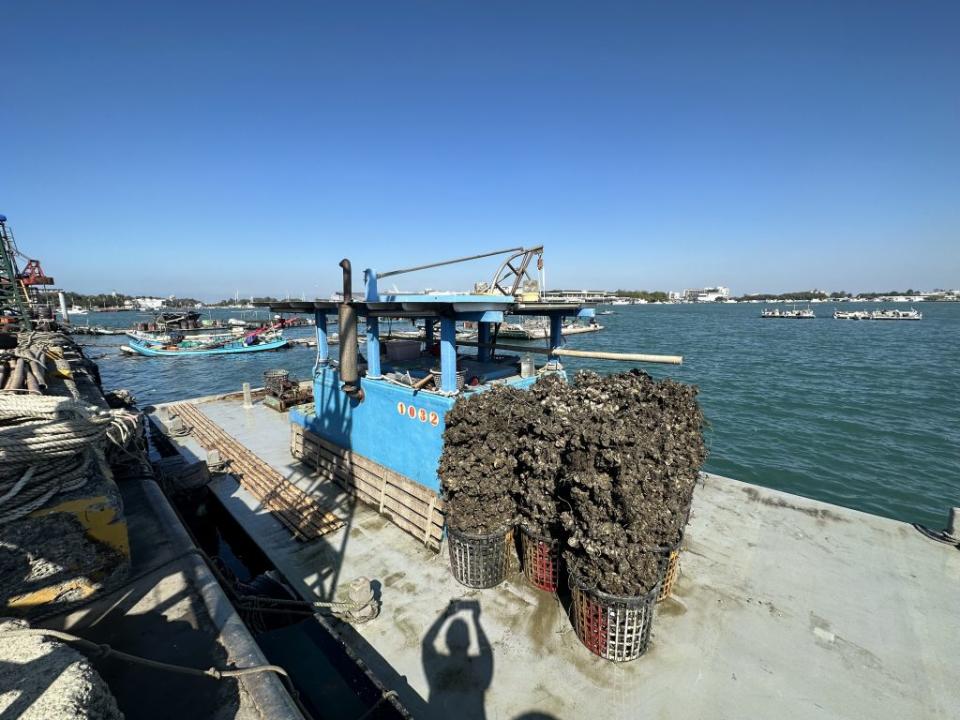 漁光島北側安平漁港區內可以見到吊蚵作業。