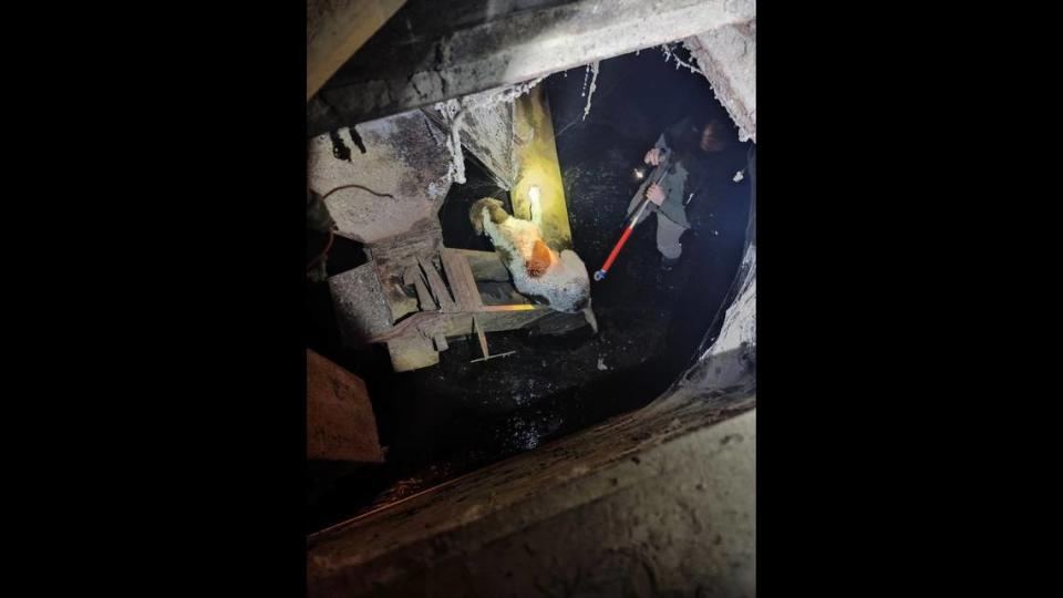 A dog fell 8 to 10 feet down a hole in Ogden, Utah.