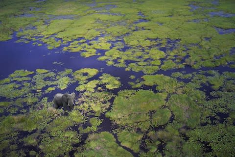 The Okavango Delta, Botswana - Credit: This content is subject to copyright./ac productions
