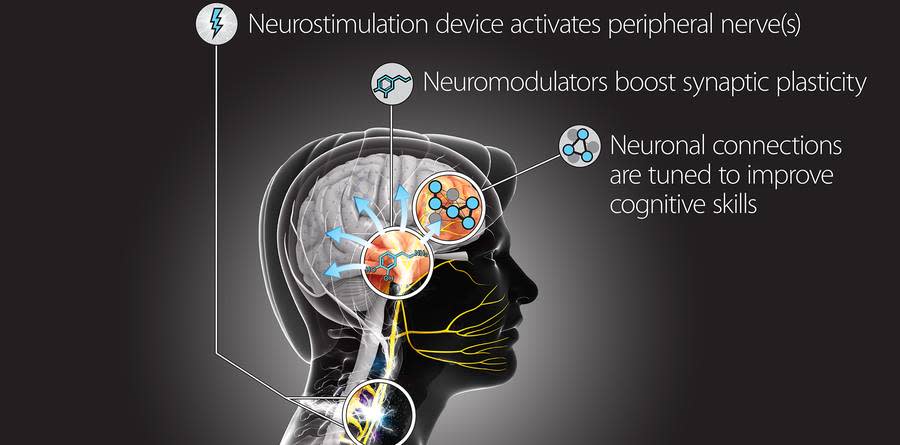 DARPA Wants to Hack Your Nervous System to Turn You Into a Super-Spy