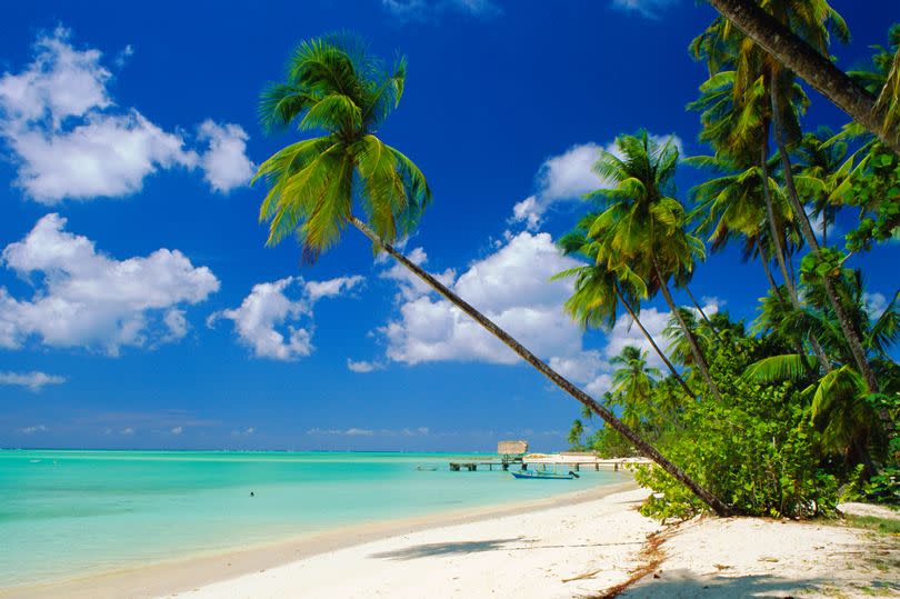 Tobago in the Caribbean -Credit:Getty Images