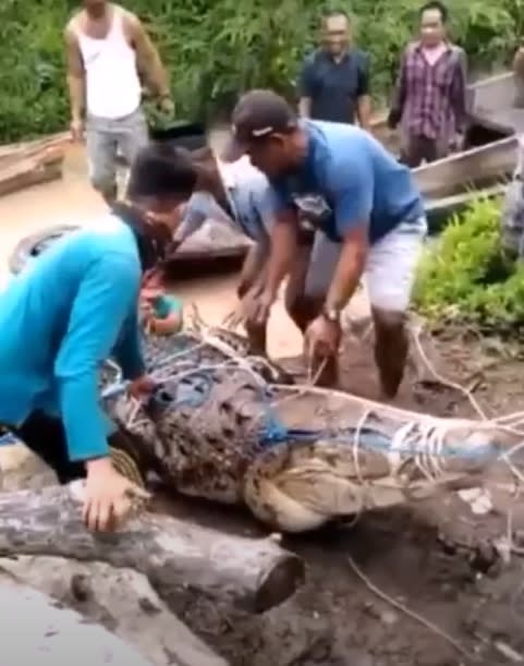 印尼日前發生一起鱷魚襲擊案件。（圖／翻攝自Ahmad Rahmadi Official Youtube ）