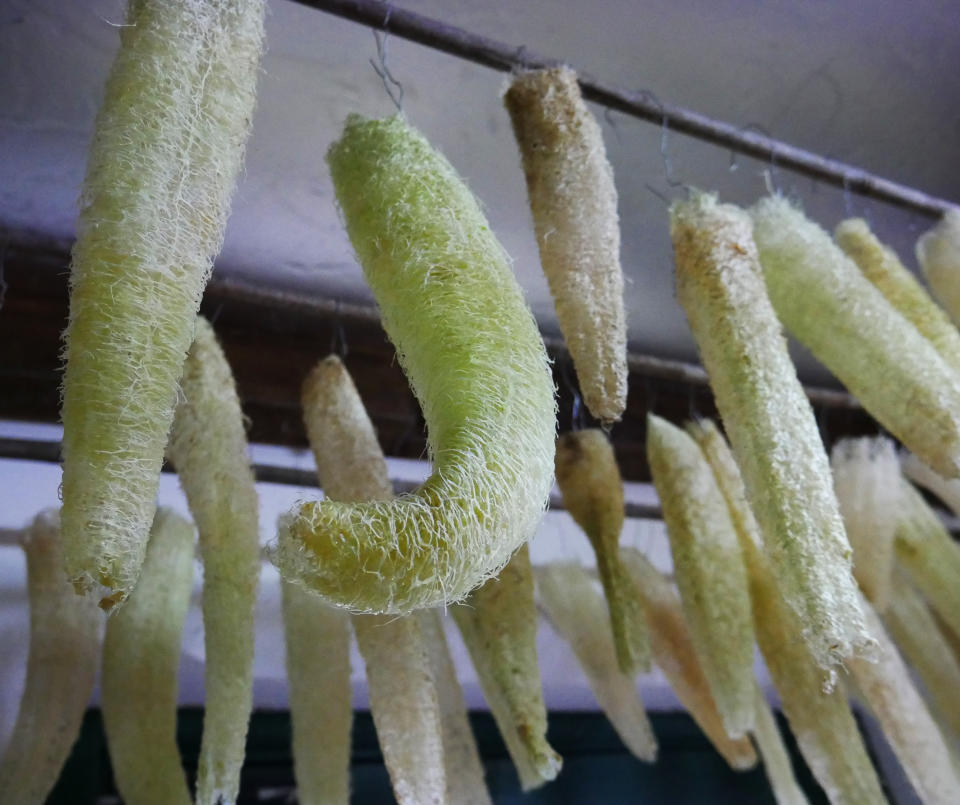 The loofahs are hung up to dry