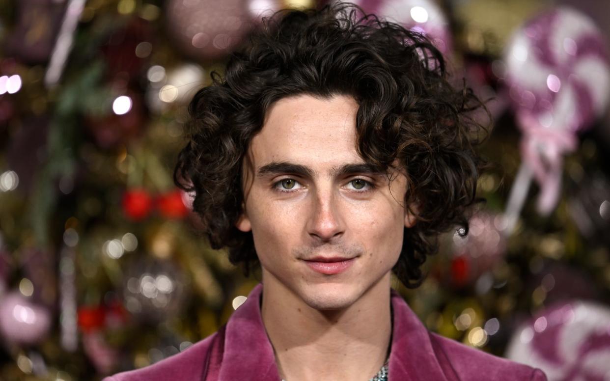 Timothée Chalamet hätte eigentlich in Greta Gerwigs "Barbie"-Film zu sehen sein sollen.  (Bild: 2023 Getty Images/Gareth Cattermole)