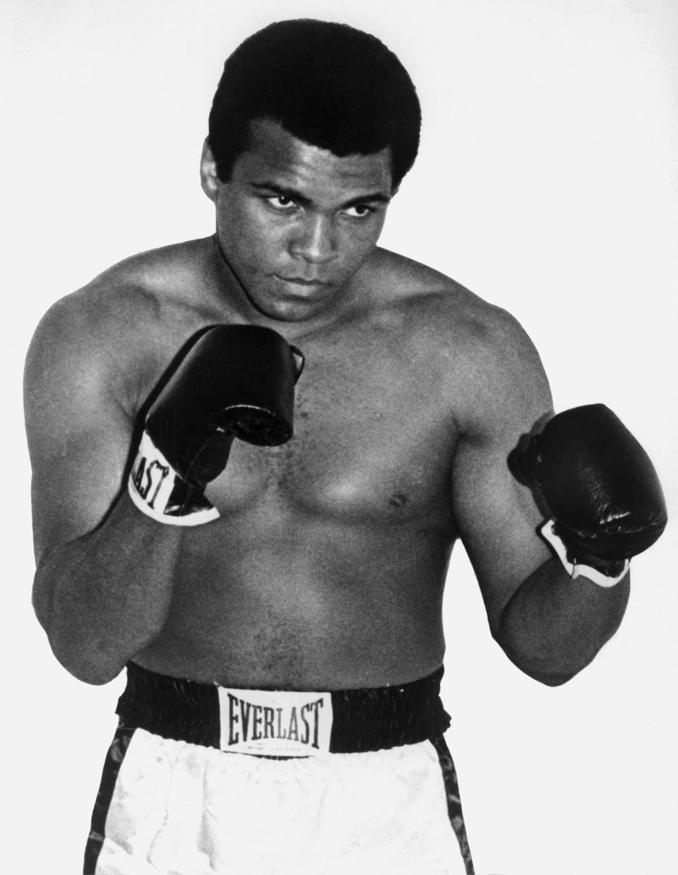 Cassius Clay