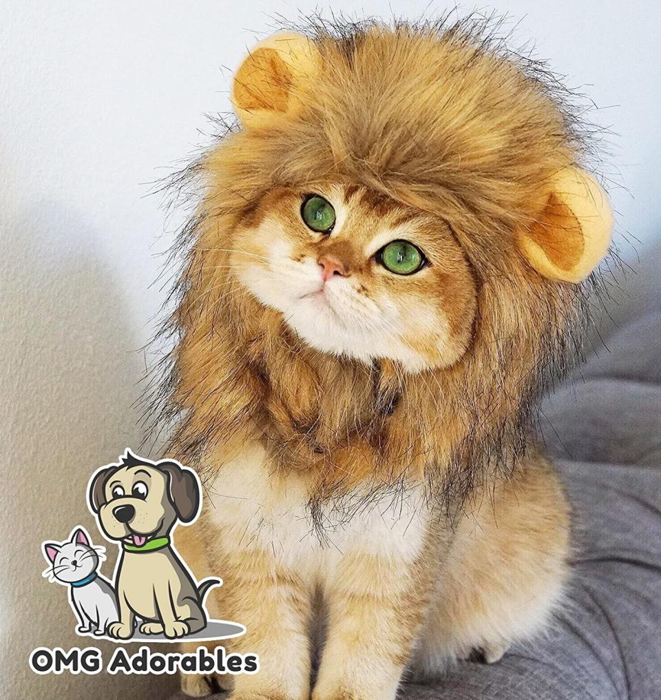 Get this <a href="https://amzn.to/2H5hI4p" target="_blank" rel="noopener noreferrer">OMG Adorables Lion Mane Costume for Cat for $13</a> at Amazon. It's available in sizes small and large, and fits snuggly around your feline's face.