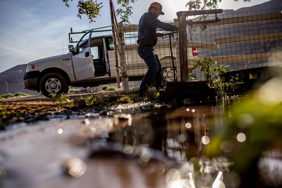 Kelby Iverson, a farmer in Hurricane, Utah, farms alfalfa and raises beef cattle to support his family of eight. Since they first started irrigating land in Southwest Utah more than 100 years ago, his family has enjoyed some of the oldest water rights, which Iverson wants to safeguard. | Spenser Heaps, Deseret News