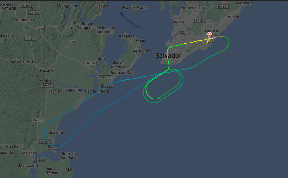 智利南美航空一架飛機在空中冒火花，緊急返航，據稱是有鳥被吸進右邊引擎。（翻攝自Flightradar24）