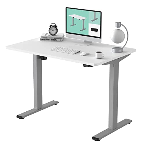 FLEXISPOT EC1 Electric Standing Desk 48 x 30 Inches Adjustable Desks for Home Office Stand Up D…