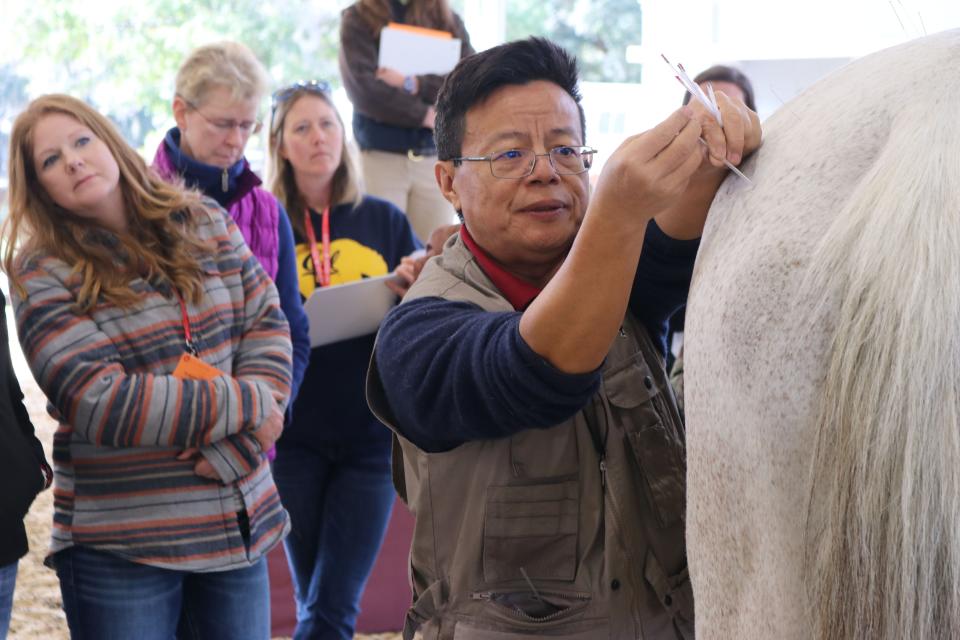 At VMX, Dr. Huisheng Xie, professor emeritus at the University of Florida, noted that integrating acupuncture into the treatment plan for veterinary cancer patients in many cases may extend a good quality of life for up to five years longer.