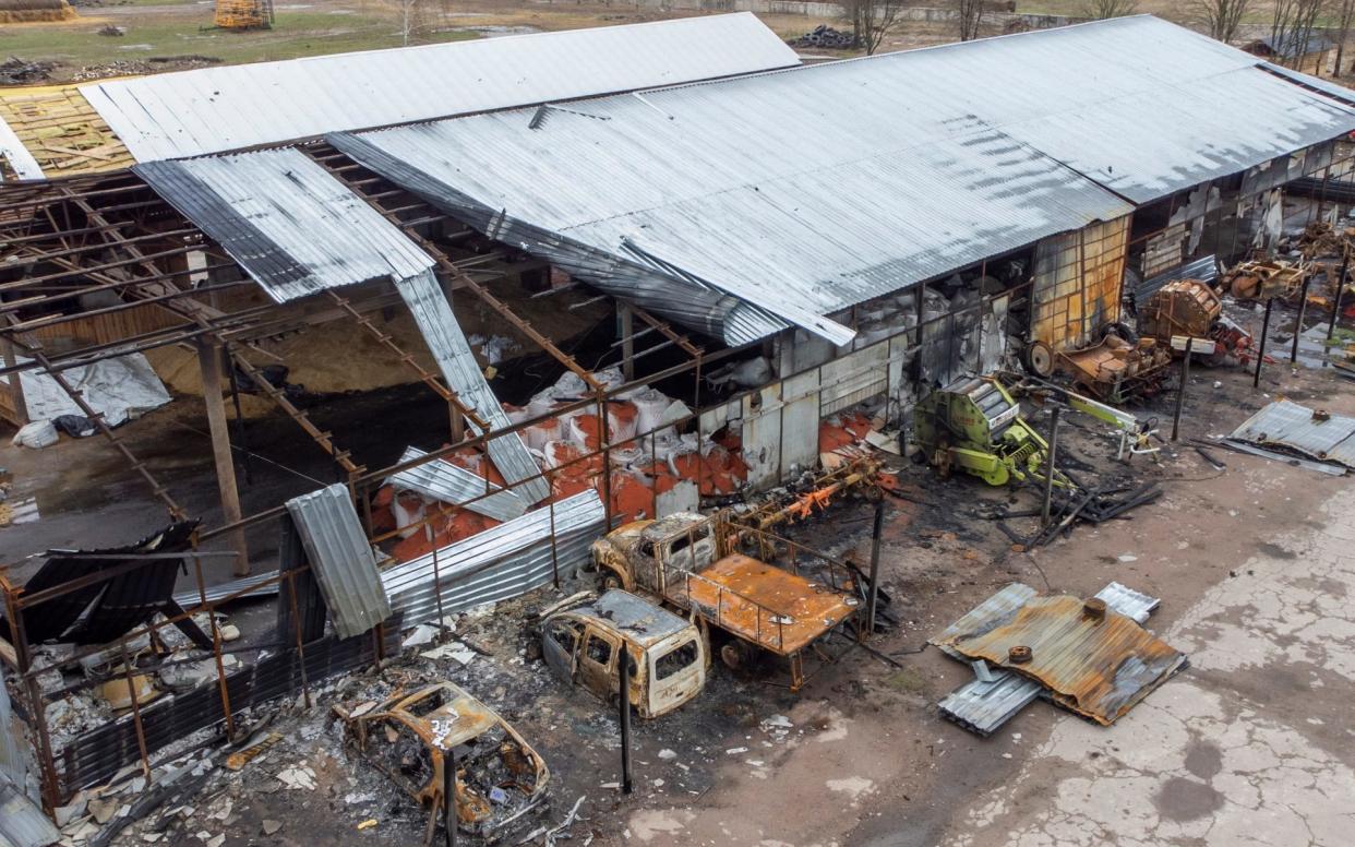 AE Naporivske farm Lukashivka, Chernihiv Oblast - Paul Grover/Telegraph