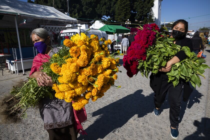October 31st, 2021. Matatlan, Oaxaca, Mexico. Maria Hernandez, 63, and Maria Santiago, 25; walking away from the market after buying flowers and food for the altars for day of the dead celebration, dedicated to the relatives who passed away.