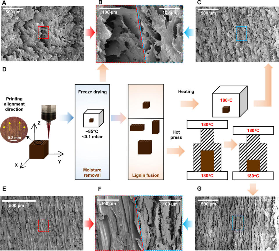 Three-dimensional printing of wood