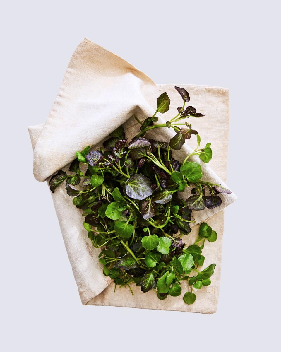 Watercress in a bundle