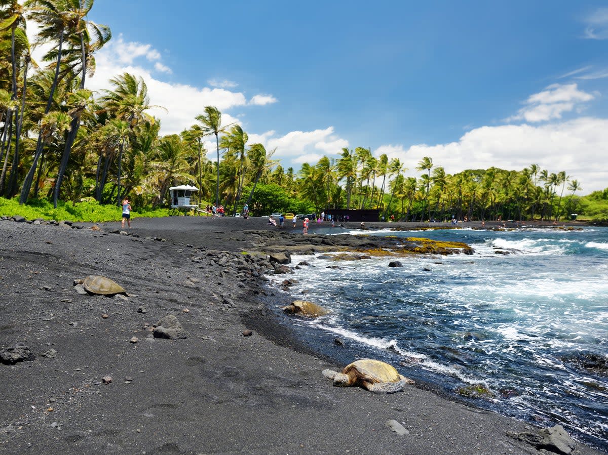 The black sand was formed after lava flowed from the nearby Hawaii Volcanoes National Park (Getty Images/iStockphoto)