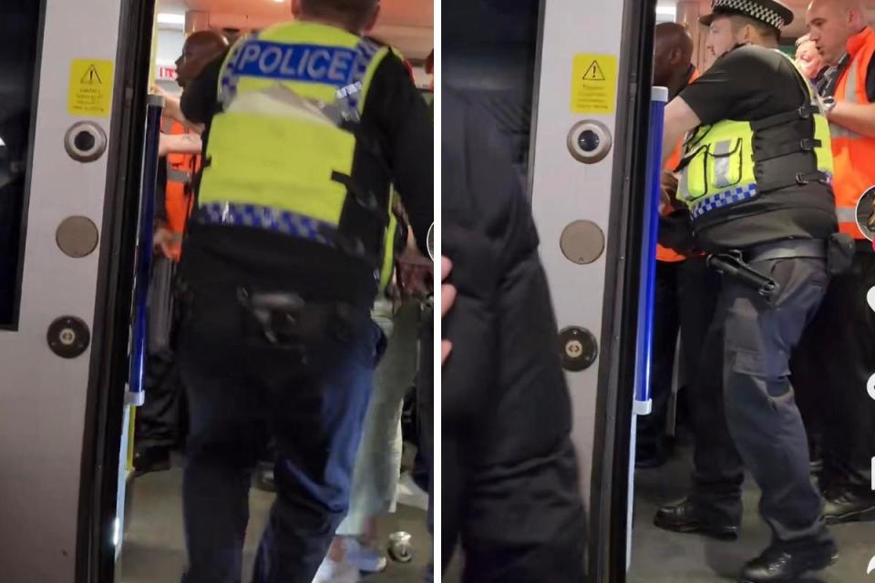 Woman 'covered in blood' after fight breaks out on train to Glasgow <i>(Image: TikTok)</i>