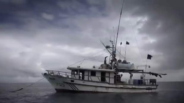 The Department of Fisheries and Oceans is partnering with officials from other countries to help locate so called 'dark vessels,' ships that have turned off location transmitters to evade authorities while they fish illegally. (DFO - image credit)