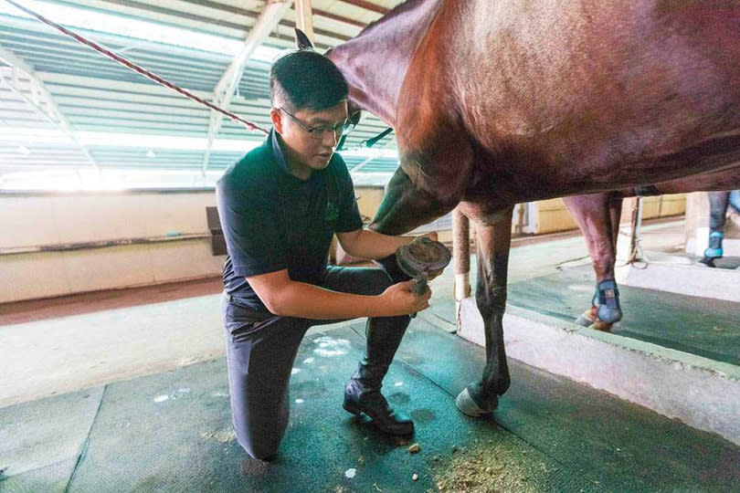 馬術教練在介紹園區之餘，還會傳授有趣的馬匹小知識。（圖／林士傑攝）