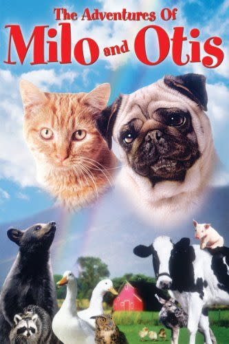 The Adventures Of Milo And Otis