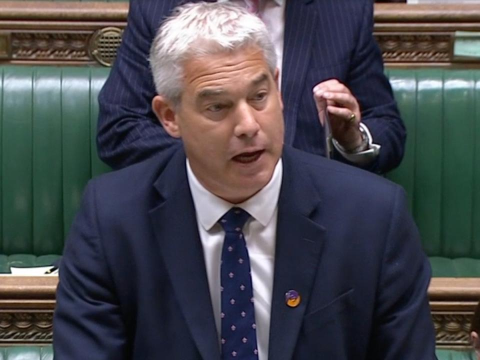 Former health secretary Steve Barclay announced a national mental health inquiry in June (BBC)