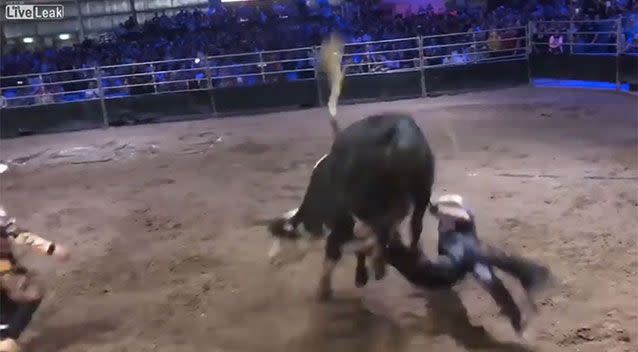 Reports claim the rider got up following the impact but collapsed in the arena. Source: LiveLeak