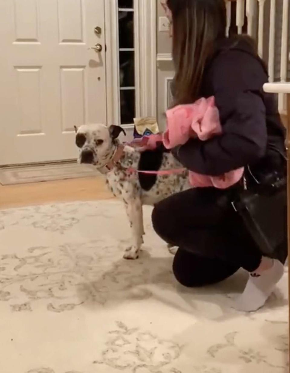 TIKTOK/VALENTINETHEPITMATIAN