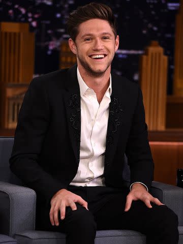 <p>Theo Wargo/Getty</p> Niall Horan on 'The Tonight Show Starring Jimmy Fallon' in December 2017 in New York City