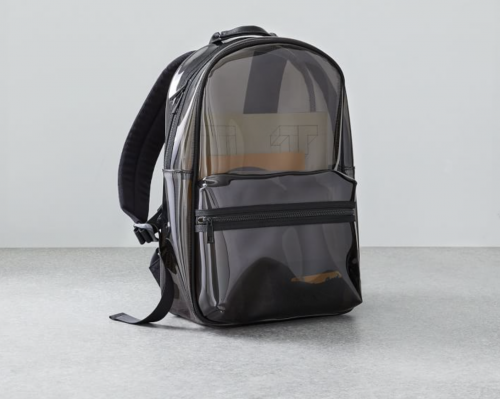 West-Elm-Clear-Backpack