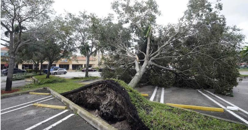 颶風每小時249公里的風速將路樹連根拔起。（圖／達志／美聯社）