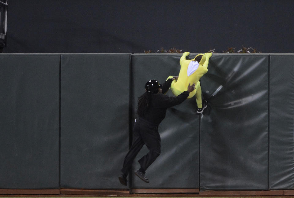 A security guard pulls a fan down from the center field fence who ran onto the field in the bottom of the six inning during an MLB basebal game between the Oakland Athletics and the San Francisco Giants at AT&T Park on May 18, 2012 in San Francisco, California. (Photo by Thearon W. Henderson/Getty Images)