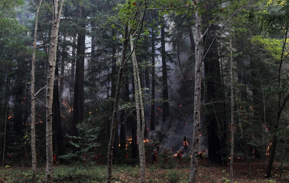 A firefighting crew walks past burning trees in Big Sur, California