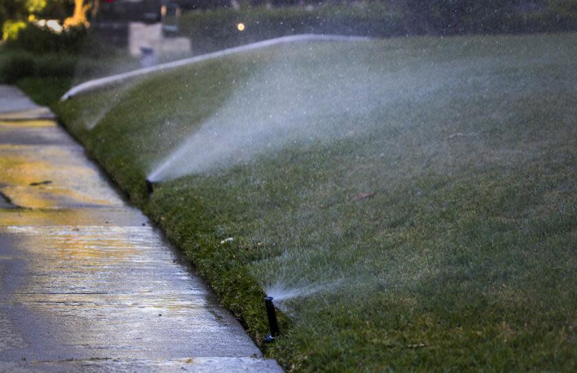 Los Angeles, CA - June 01: Sprinklers water the grass and flowers during early morning hours on a lawn at a house in Beverlywood neighborhood of Los Angeles on the first day that the LADWP drought watering restrictions are implemented Wednesday, June 1, 2022. (Allen J. Schaben / Los Angeles Times)