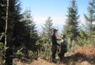 In this photo taken Feb. 14, 2013, Samantha Goldberger, left, who had just set her camera on a timer, is surprised by her boyfriend Jason Skipton, as he proposes marriage, at the El Capulin reserve, near Zitacuaro, Mexico. Skipton found the love of his life 2,000 miles from home in a chance encounter that gave him butterflies. So of course, he said, there could be no better place to propose marriage than in a swirl of orange and black butterflies that had migrated thousands of miles to mate, at the monarch butterfly sanctuary in central Mexico. (AP Photo/Samantha Goldberger)