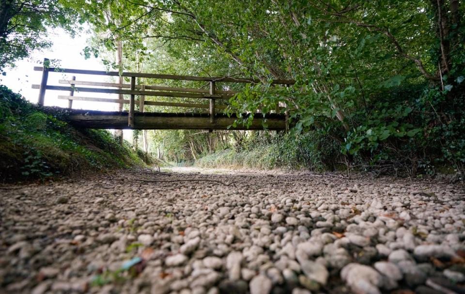 A view of a dried up river bed of the River Thames near Somerford Keynes in Gloucestershire (Andrew Matthews/PA) (PA Wire)